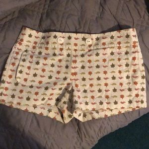 J Crew Shorts with turtles 🐢